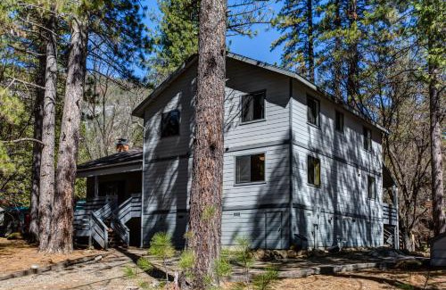 North Wawona House | 1 Cabin Among the Firs