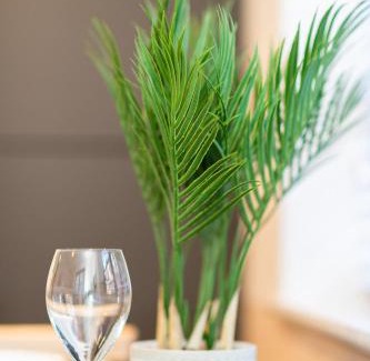 Salisbury Apartment | 1 Castle Mews