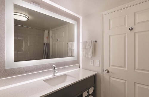 Arlington Hotel | 1 King Bed, Deluxe Family Suite, La Quinta Inn, Pool, Near Six Flags