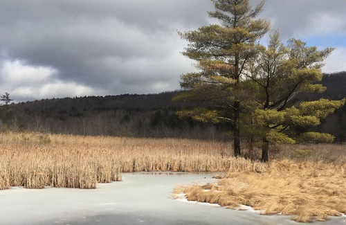 Great Barrington House | 1 Mile from Butternut! Close to Lakes, Appalachian Trail, Restaurants, Theatre.