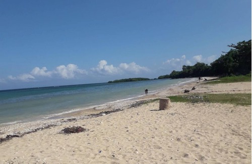 Mammee Bay Apartment | 10 minute walk to the beach! Authentic Jamaican experience