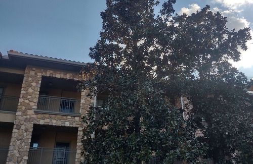Wellington Condo | 10 Minutes Disney
