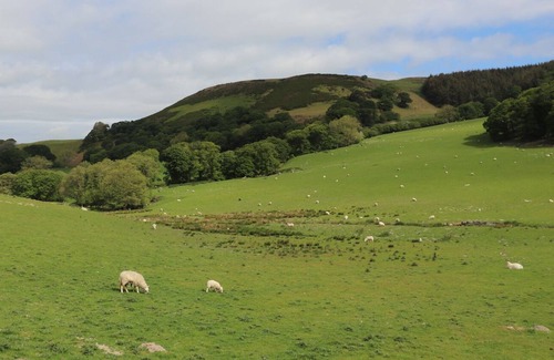 Henllan Cottage | 10 TY COCH STREET, pet friendly, country holiday cottage in Henllan