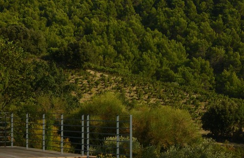 Gigondas House | 100 m² House ∙ 2 bedrooms ∙ 5 guests