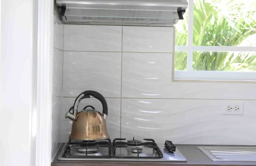 Boroncana Apartment | 103 Beach Homes Aruba | One Bedroom Apartment