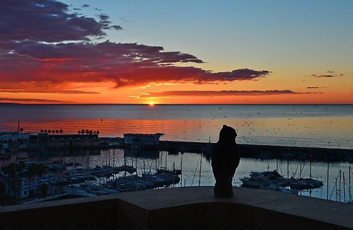 Estepona Apartment | 110 m² Apartment ∙ 2 bedrooms ∙ 4 guests