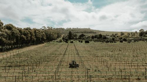 Helderberg Rural House | 13 Olives, Entire Grape & Olive Estate, Somerset West by Euphoric Leisure