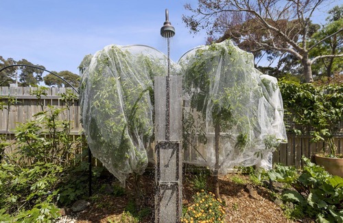 Anglesea House | 15 Noble Street Summa