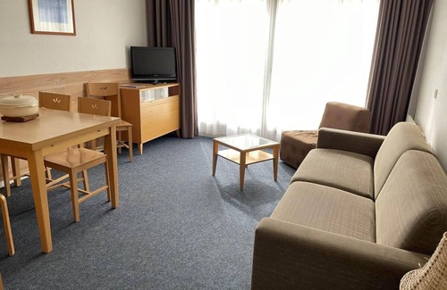 Eaux-Bonnes Apartment | 150m from ski slopes, 1st floor, view ski slopes, fitness, swimming pool, sauna, tv, ski locker