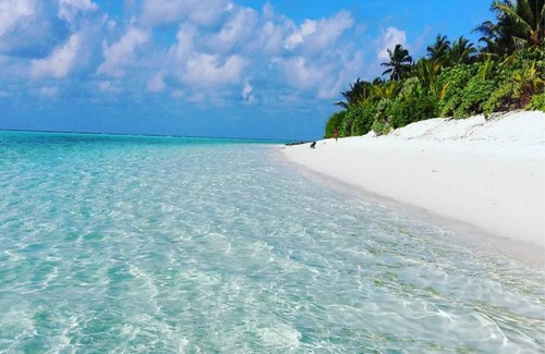 Thoddoo Bed & Breakfast | 16 m² Bed and breakfast ∙ 3 guests