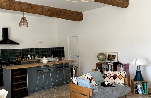Saint-Etienne-du-Gres Other | 17th century farmhouse between Avignon and Arles/14 people