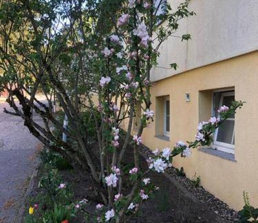 Sankt Kilian Bed & Breakfast | 18 m² Bed and breakfast ∙ 2 guests