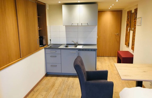 Moessingen Apartment | 18 m² Studio flat ∙ 1 bedroom ∙ 1 guest