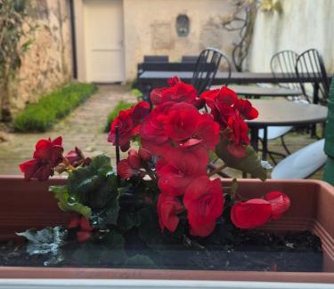Treviso Bed & Breakfast | 19 Borgo Cavour