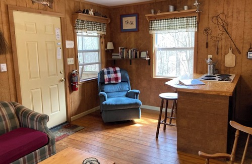 Brevard Cabin | 1BR Dogwood Den - Ash Grove