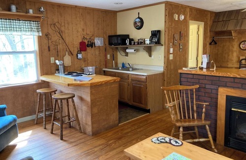 Brevard Cabin | 1BR Dogwood Den - Ash Grove
