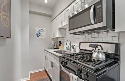 Hyde Park Apartment | 1BR Modern & Chic Apt in Downtown Chicago - Dorchester 204