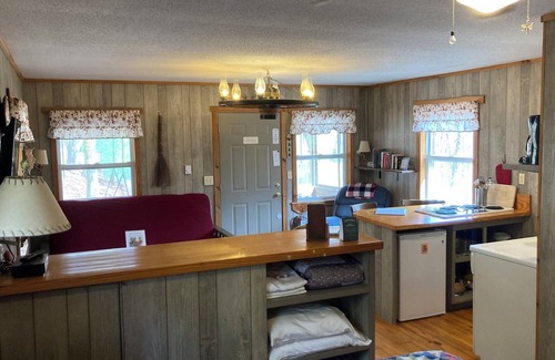 Brevard Cabin | 1BR Woodspirit's Retreat