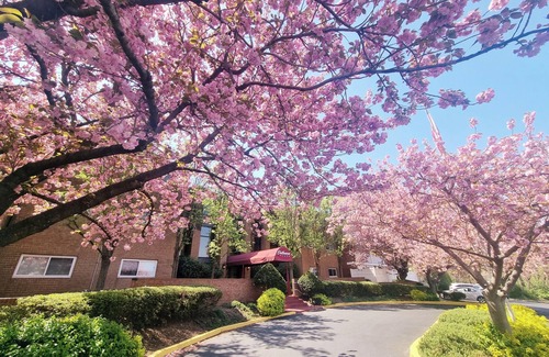 Elkins Park Apartment | 1BR you call home Monthly Discount