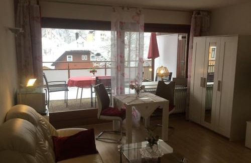 Schoenwald Apartment | 1Z.FeWo 236 barbo Schwimmbad,Sauna,Fitness
