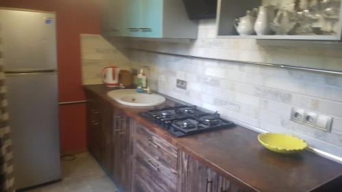 Kremenchuk Apartment | 2комнатные аппартаменты на соборной в стиле фьюжн