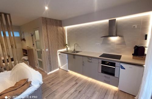Le Chateau Apartment | 2 Adorables appartements proches de Paris et Disneyland