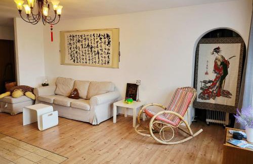 Schonach im Schwarzwald Apartment | 2 Apartments in Schonach mountain-Top, free parking, new kitchen, renovated bathroom, high-speed internet