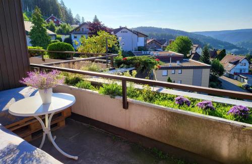 Schonach im Schwarzwald Apartment | 2 Apartments in Schonach mountain-Top, free parking, new kitchen, renovated bathroom, high-speed internet