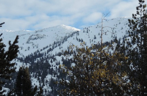 Alpine Northeast House | 2 bed 1 bath luxury rental in Alpine. Private location and very comfortable