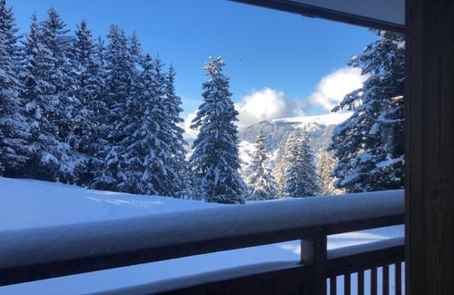 Courchevel Apartment | 2 bed Apt in Courchevel 1650, Doorstep skiing - Courchevel, Meribel, Val Thorens
