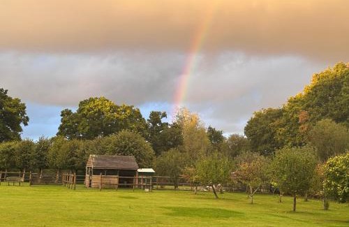 Wimborne Saint Giles House | 2 Bed Countryside Retreat in Dorset Includes a private Hot Tub and cosy wood burner