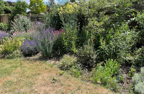 Hampton Wick Apartment | 2 bed flat - SW London with parking