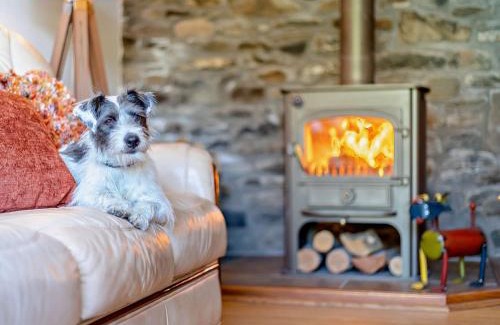 Llanidloes House | 2 Bed in Llanidloes 95815