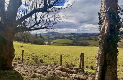 Builth Wells House | 2 Bed in Llanwrtyd Wells 94009