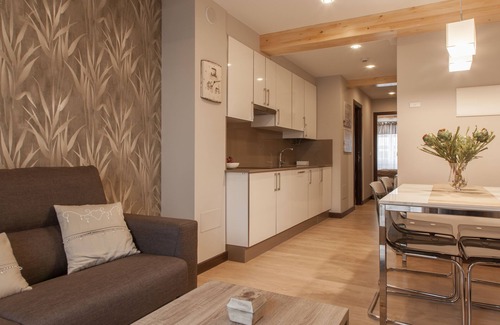 Santiago de Compostela Apartment | 2 bedroom apt. 3 min. walking to cathedral - garden terrace wifi elevator - P1