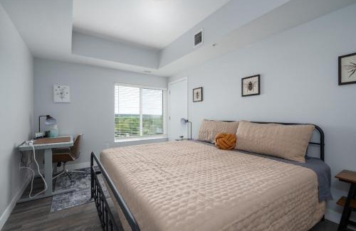 Historic Southwest Apartment | 2 Bedroom 2 Bath Brand New Apartment Next To Mayo!