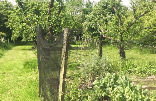 Templecombe Cottage | 2 bedroom accommodation in Horsington Marsh, near Templecombe