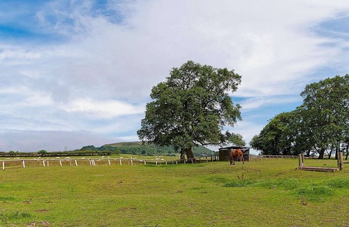 Abergavenny Cottage | 2 bedroom accommodation in Llantilio Pertholey, near Abergavenny
