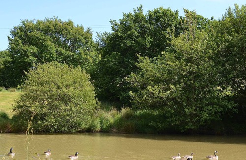 Okehampton Cottage | 2 bedroom accommodation in Bridestowe, near Okehampton
