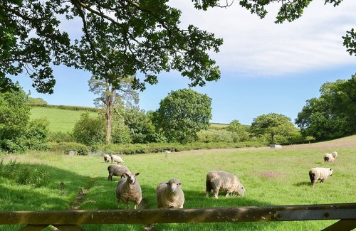 Okehampton Cottage | 2 bedroom accommodation in Bridestowe, near Okehampton