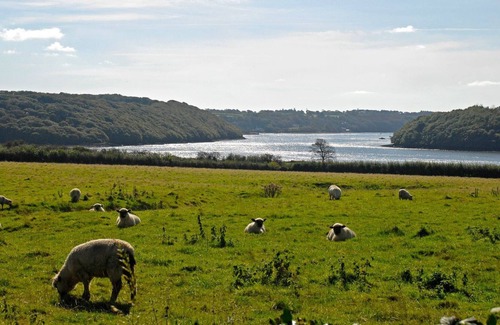 Kilgetty Cottage | 2 bedroom accommodation in Lawrenny