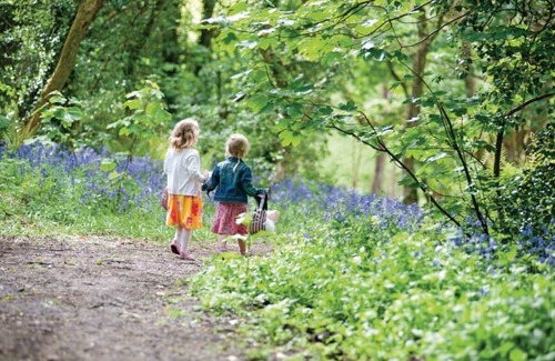 Lelant Cabin | 2 bedroom accommodation in Lelant, St Ives