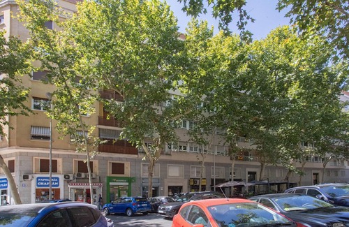 Nueva Espana Apartment | 2 bedroom apartment in La Castellana