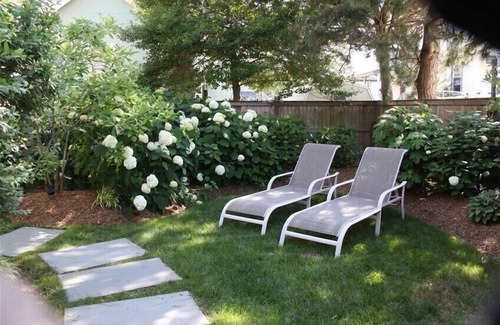 Beach Haven Cottage | 2 bedroom Cottage in Country Living Magazine.OPEN AUG 23-AUG 30
