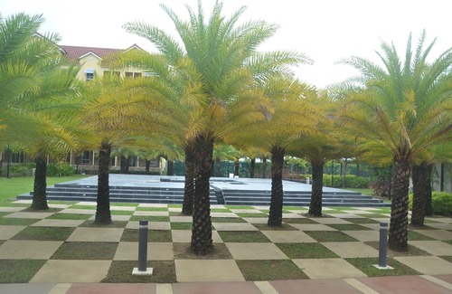 Cebu Condo | 2 br 1tb at Amalfi Oaisis @City De Mare w/20 mbps Wifi