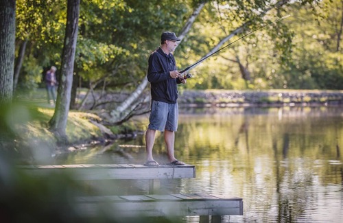Reeders Cabin | 2 BR 2 Bathroom Hemlock Cabin, private dock, close to the beach!
