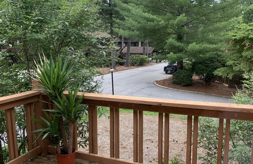 Hendersonville Condo | 2 BR/Walk Downtown/Local Brews