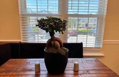 Northeast Virginia Beach Condo | 2 Brand New King size beds 2 Full baths Condo!