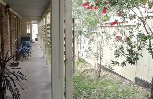 Lemon Tree Passage House | 2 Dogs Cottages Port Stehpens