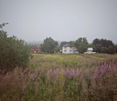 Vestvagøy Apartment | 2 Houses & a Barn Ground Floor
